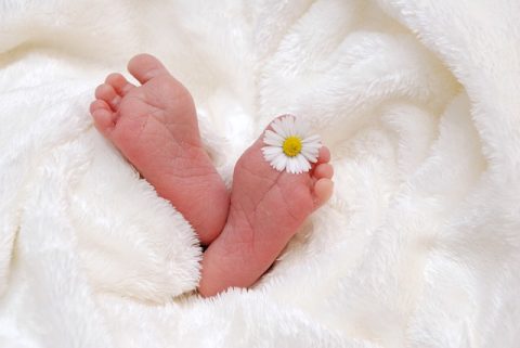 Élet Csokor az élet dolgairól II. Minden Nap Alap